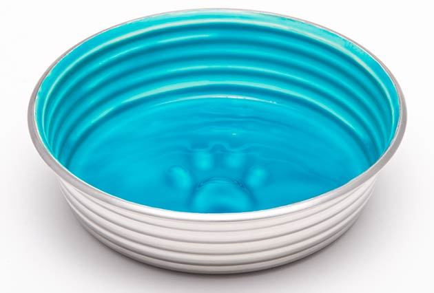7934-Le-Bol-Seine-Blue-Dog-Bowl-D__65439.1586876024.1280.1280__73953.1645026035.jpg